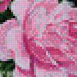 Предпросмотр схемы вышивки «панно розы» (№736404)