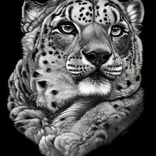 Оригинал схемы вышивки «Леопард» (№736788)