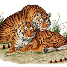 Оригинал схемы вышивки «Тигры» (№737098)
