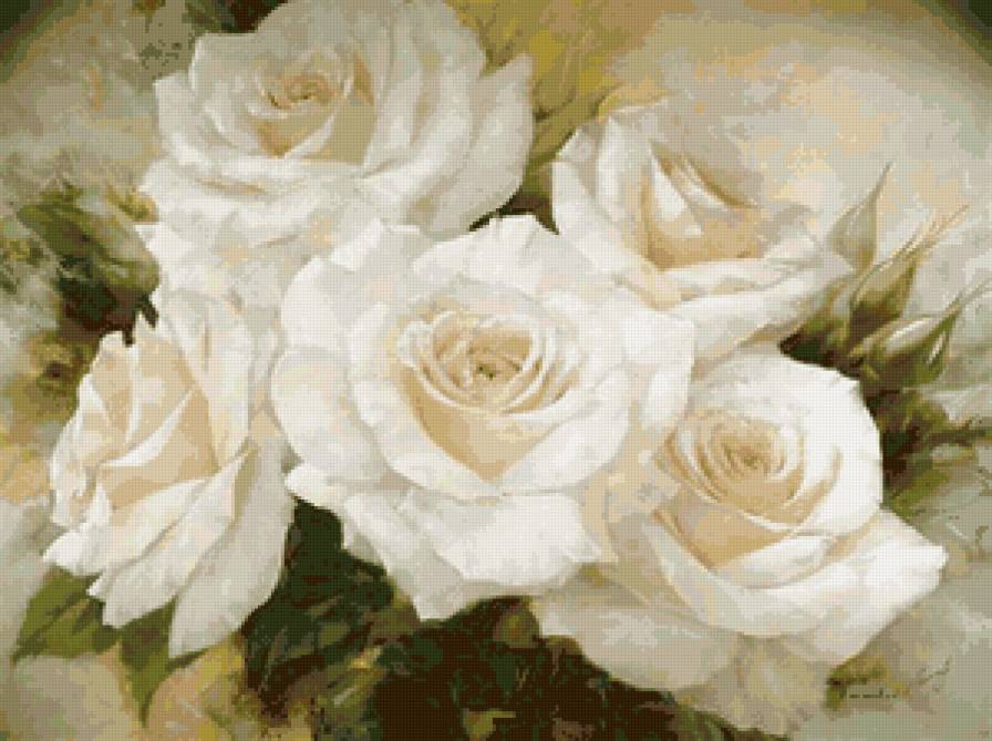Белые розы - цветы, розы - предпросмотр