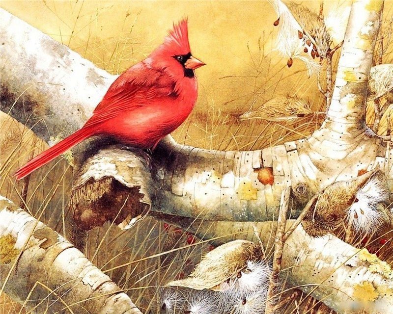 Птичка_4 - птицы, осень - оригинал