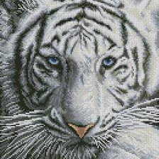 Оригинал схемы вышивки «Белый тигр 1» (№739072)