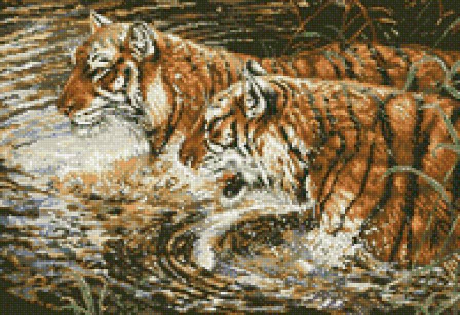 Тигры - животные, тигры, река - предпросмотр