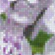 Предпросмотр схемы вышивки «цветы Байкала» (№739341)