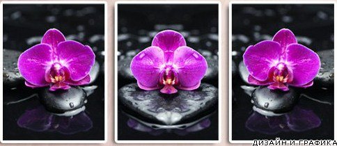 триптих "орхидеи" - орхидеи - оригинал