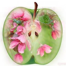 Схема вышивки «Яблоко в цветах»