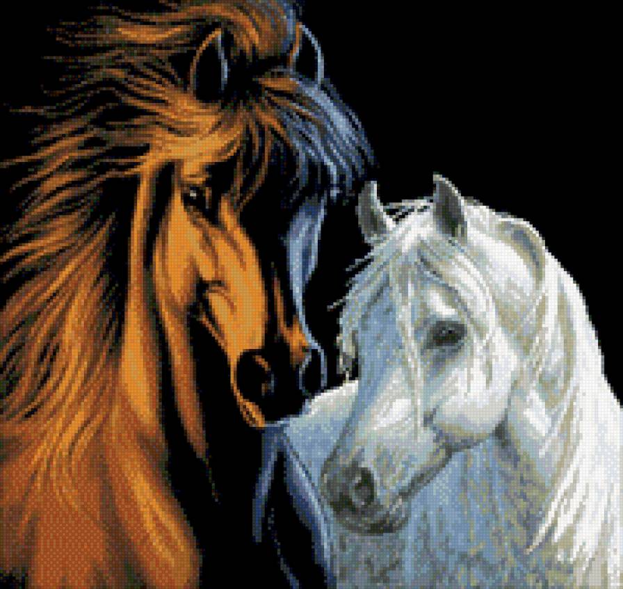 Лошади - животные, лошади, кони - предпросмотр