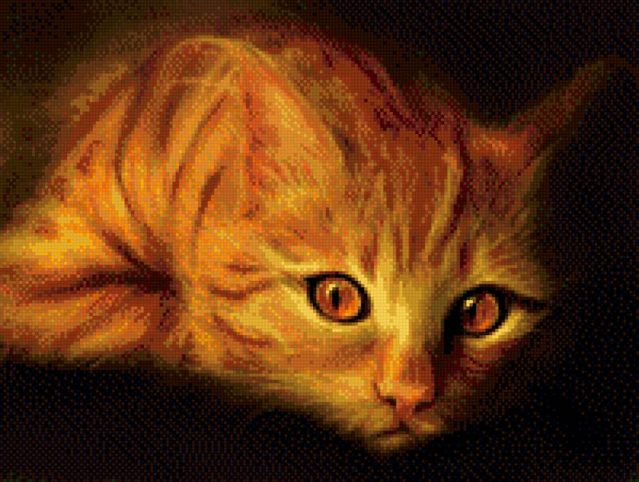 рыжая кошка 1 - предпросмотр