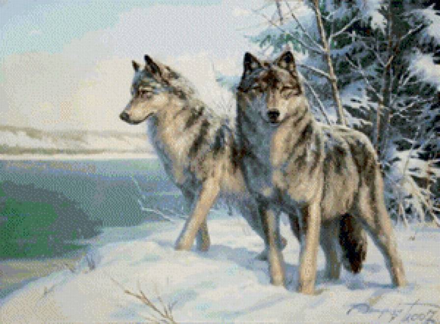 №740948 - животные, волки - предпросмотр