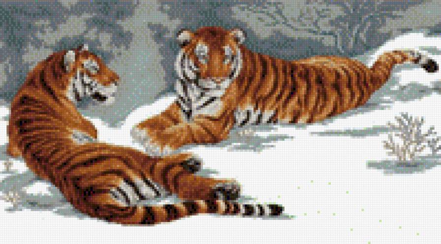 Тигры - животные, тигры - предпросмотр