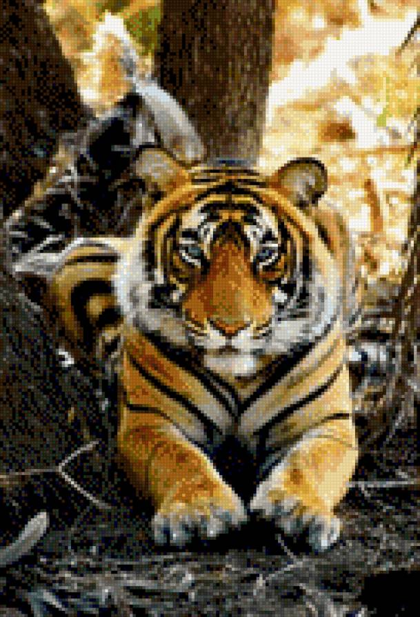 тигрик - животные - предпросмотр