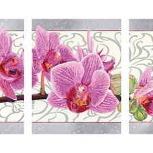 Оригинал схемы вышивки «триптих "орхидеи"» (№741613)