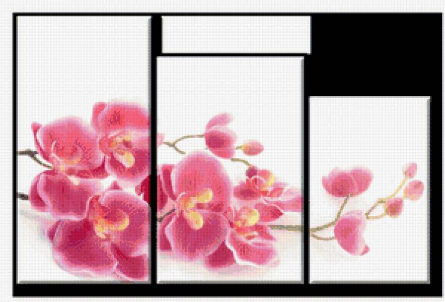 триптих "орхидеи" - цветы, орхидеи - предпросмотр
