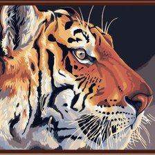 Оригинал схемы вышивки «Тигр» (№741866)