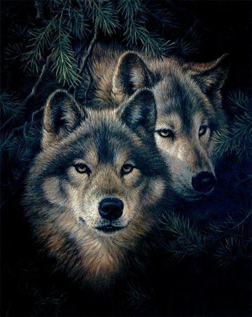 Волки - волки, лес, животные - оригинал