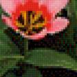Предпросмотр схемы вышивки «Тюльпаны» (№741958)
