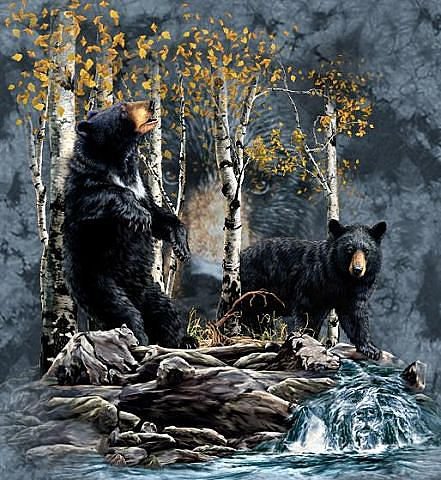 Черные медведи - животные - оригинал