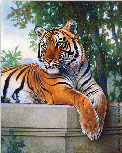 Тигр - животные, тигры - оригинал