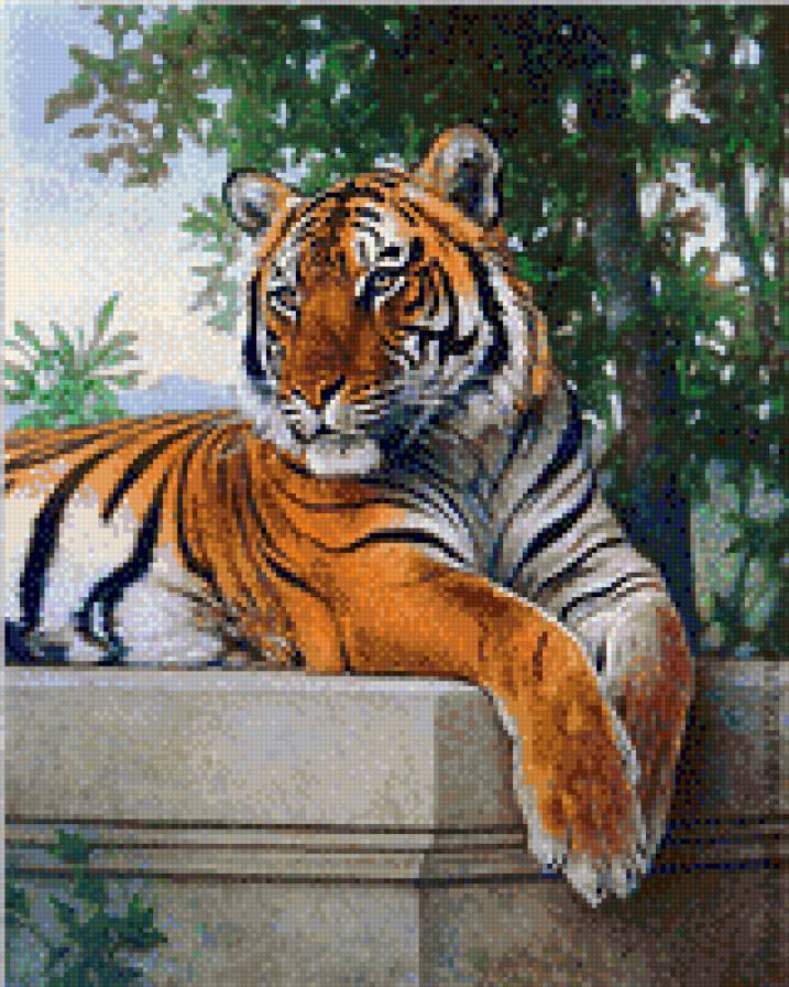 Тигр - тигры, животные - предпросмотр