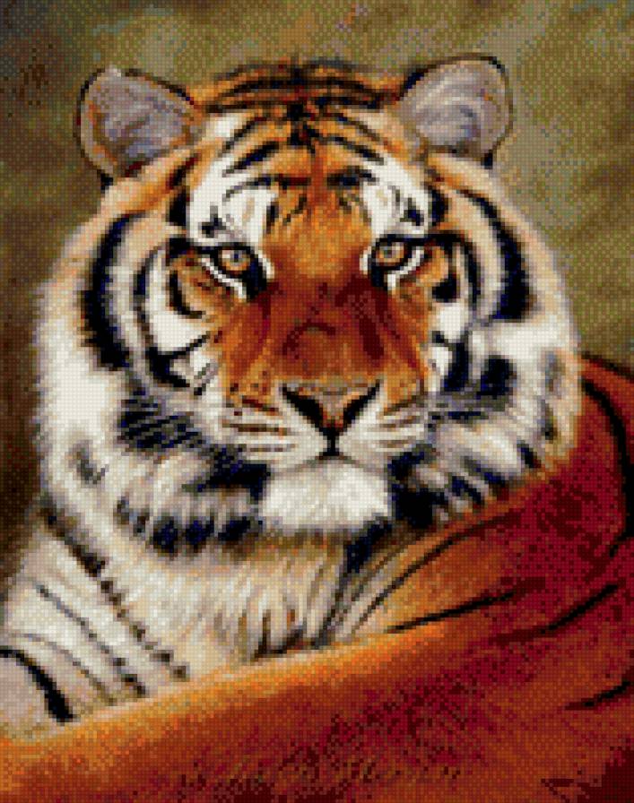 Тигр - тигры, животные - предпросмотр