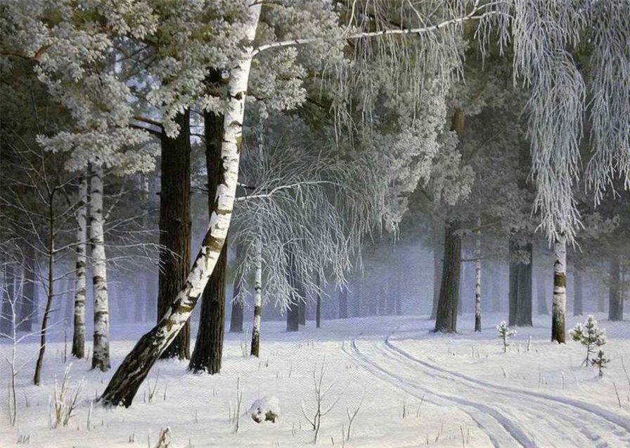 Зимний лес - зимний лес, природа, пейзаж - оригинал