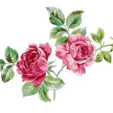 Оригинал схемы вышивки «Розы» (№742722)