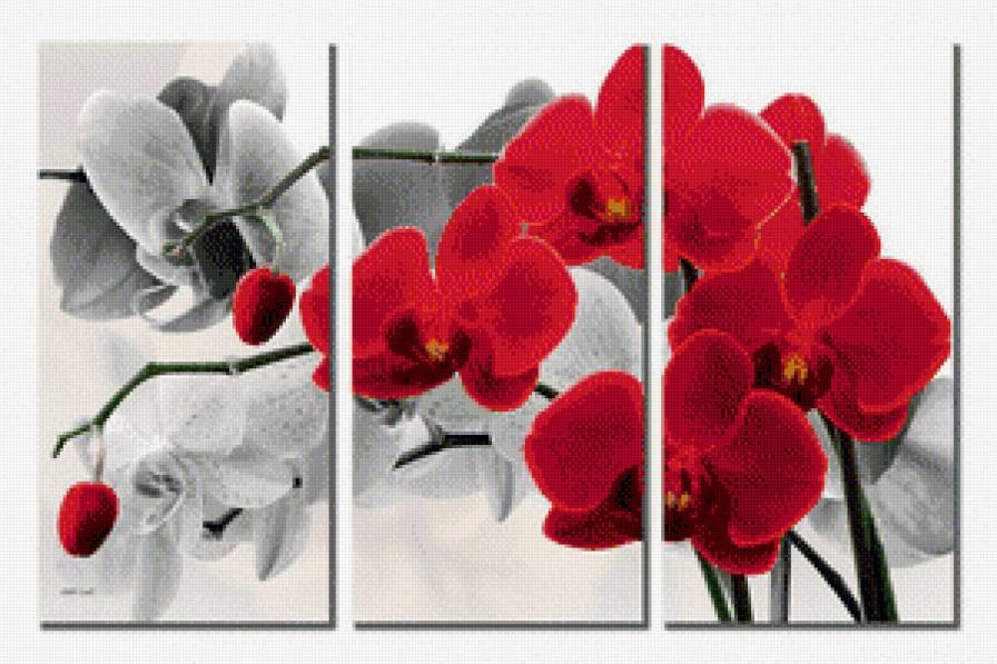 Триптих Орхидеи - цветы, орхидеи, триптих - предпросмотр