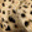 Предпросмотр схемы вышивки «гепард» (№743667)