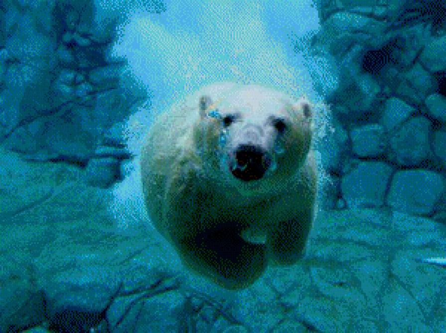 медведь - животные, медвежонок, вода, медведь, милость - предпросмотр