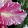Предпросмотр схемы вышивки «цветы» (№744295)