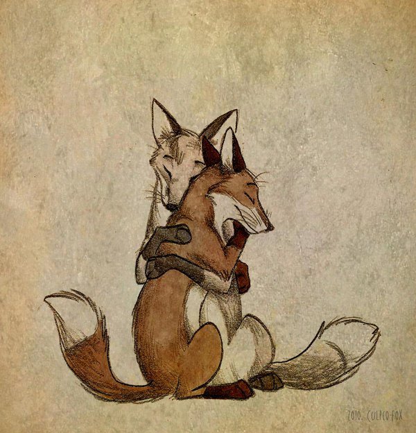 Culpeo Fox - culpeo fox, лисы, объятья - оригинал