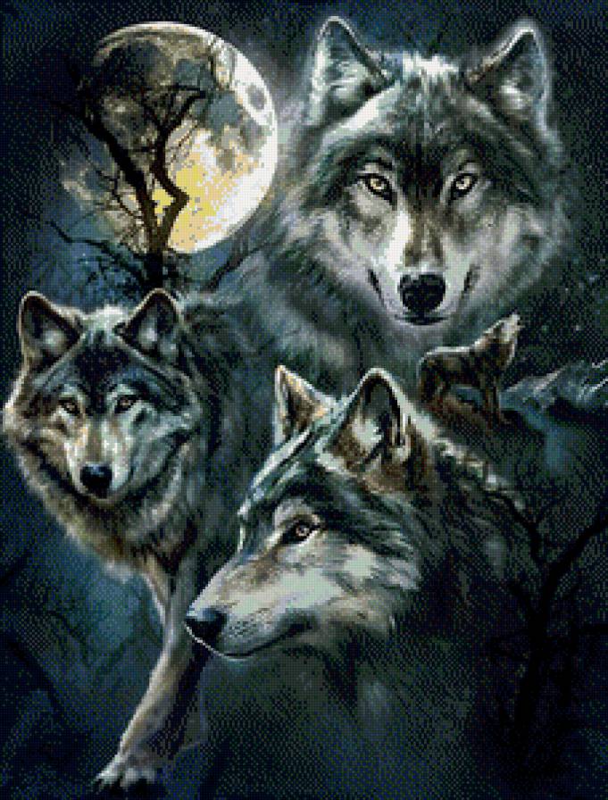 Волки - волки, луна, лес, животные - предпросмотр