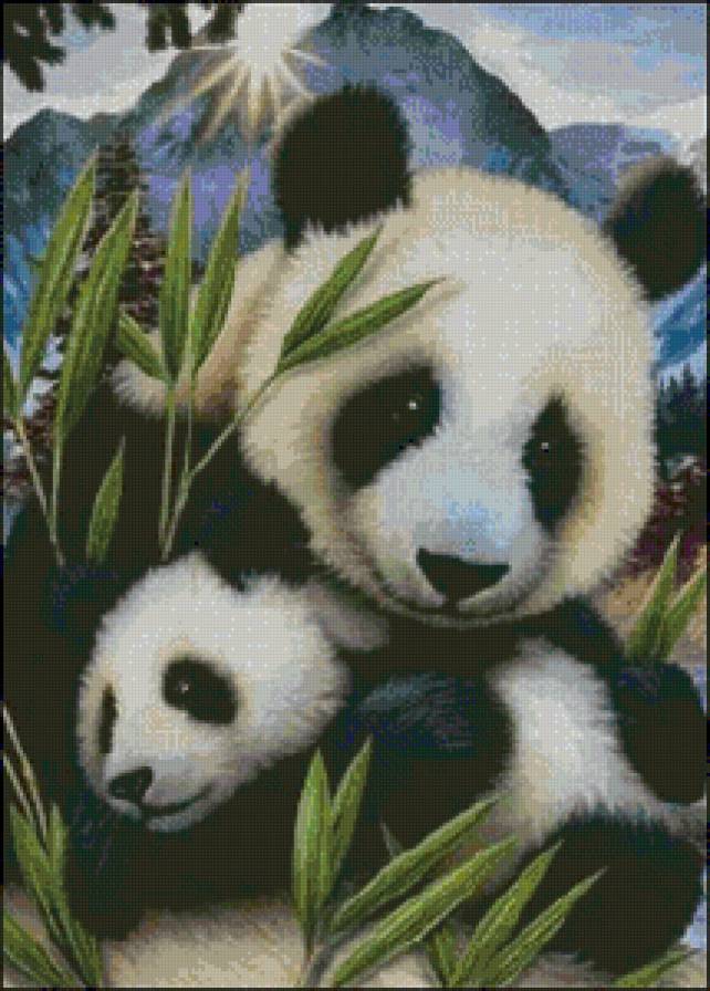 Панда с малышом - животные, панда - предпросмотр