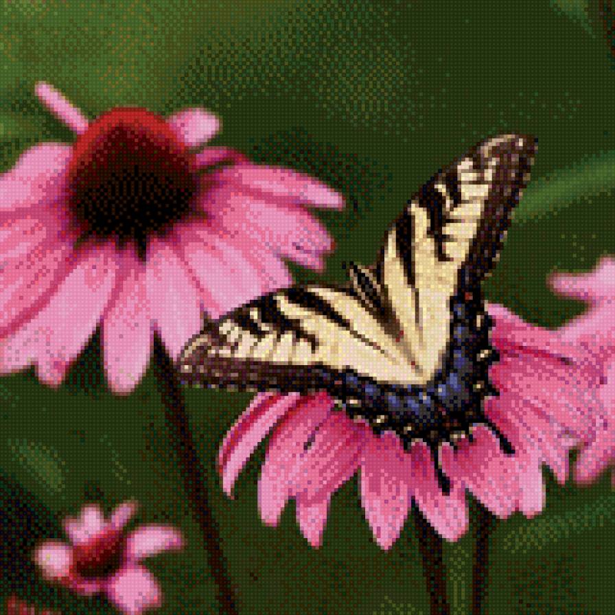 Бабочка на цветке - насекомые., бабочки - предпросмотр