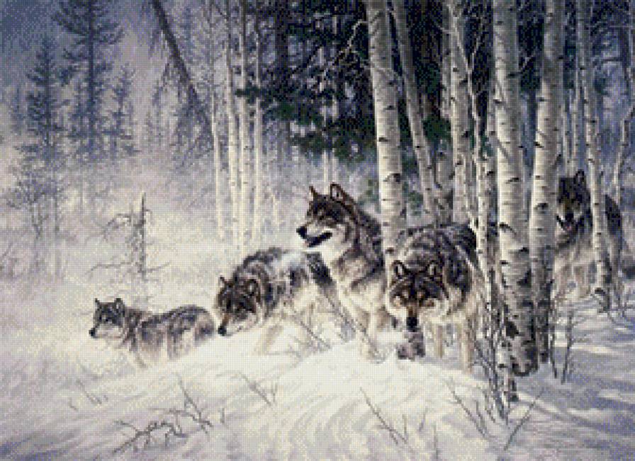 Волки - животные - предпросмотр