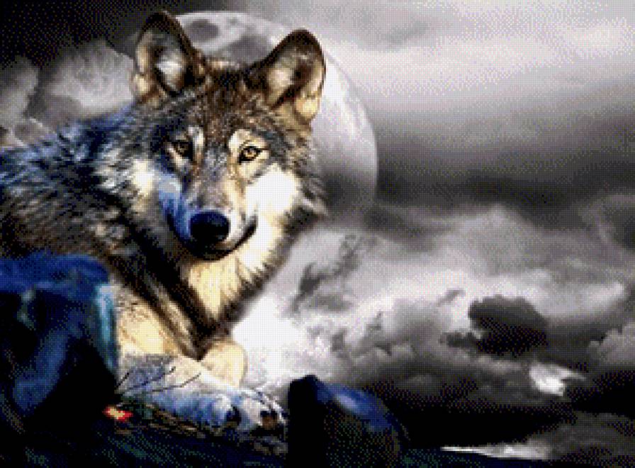 Волк - животные, луна, волк - предпросмотр