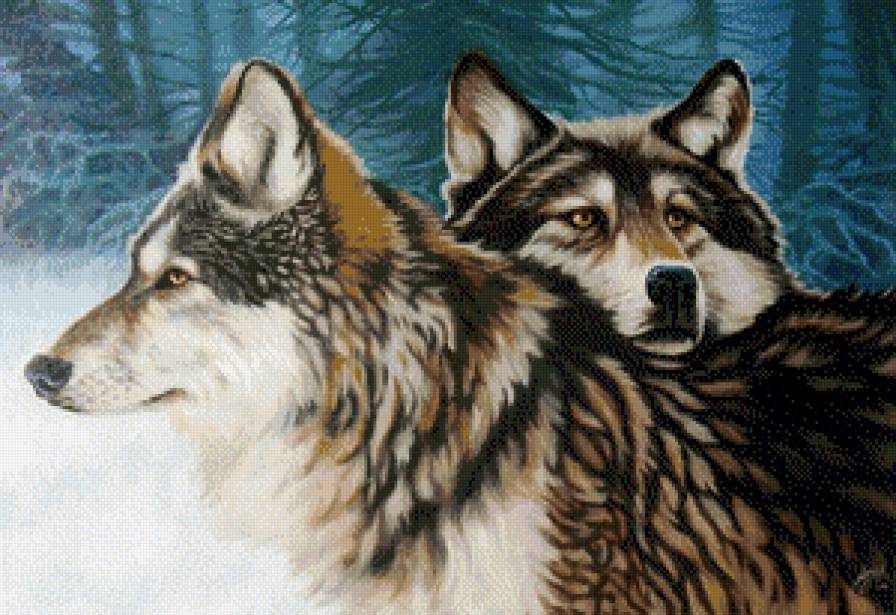 Волки - волки, лес, животные - предпросмотр