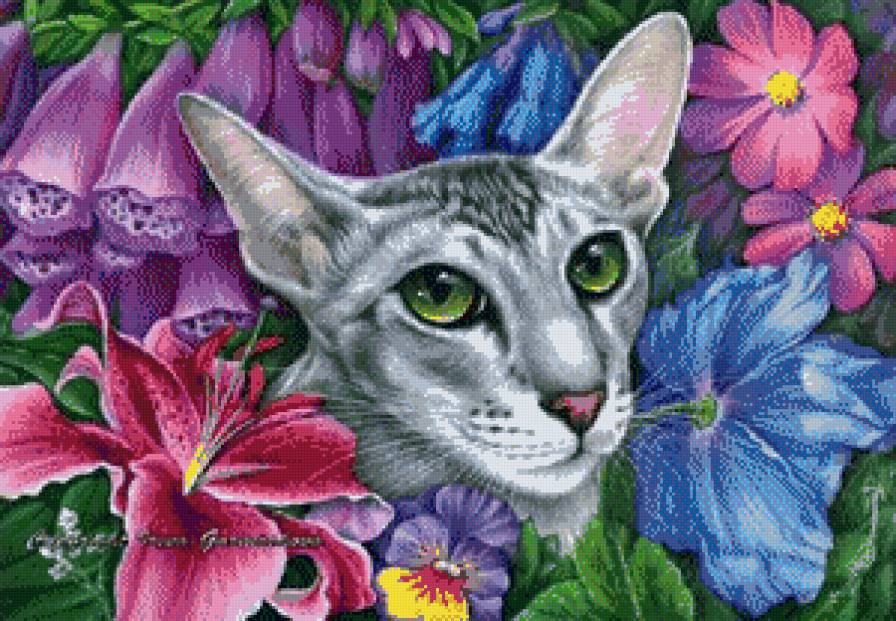 Кошка - животные, коты, цветы - предпросмотр