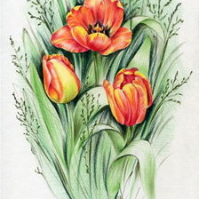 Оригинал схемы вышивки «тюльпаны» (№746055)