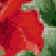 Предпросмотр схемы вышивки «Розы» (№746173)