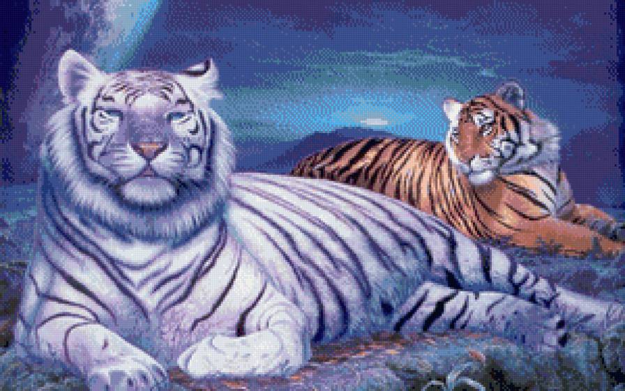 тигры - тигр, дикие животные - предпросмотр