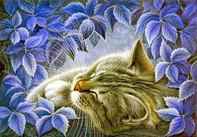 Котик спит - сон, кот, цветы - оригинал