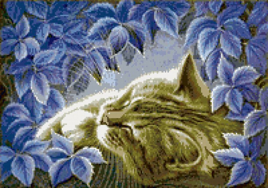 Котик спит - кот, сон, цветы - предпросмотр