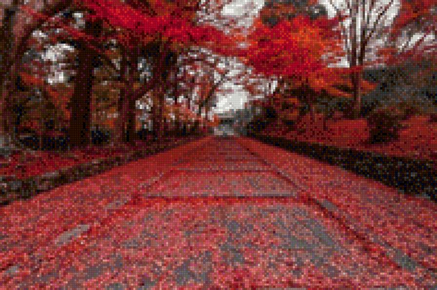 осень в Японии - листопад, пейзаж, осень, япония, листва - предпросмотр