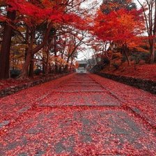 Схема вышивки «осень в Японии»