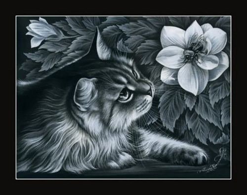 Кот - кот, цветы, животные - оригинал