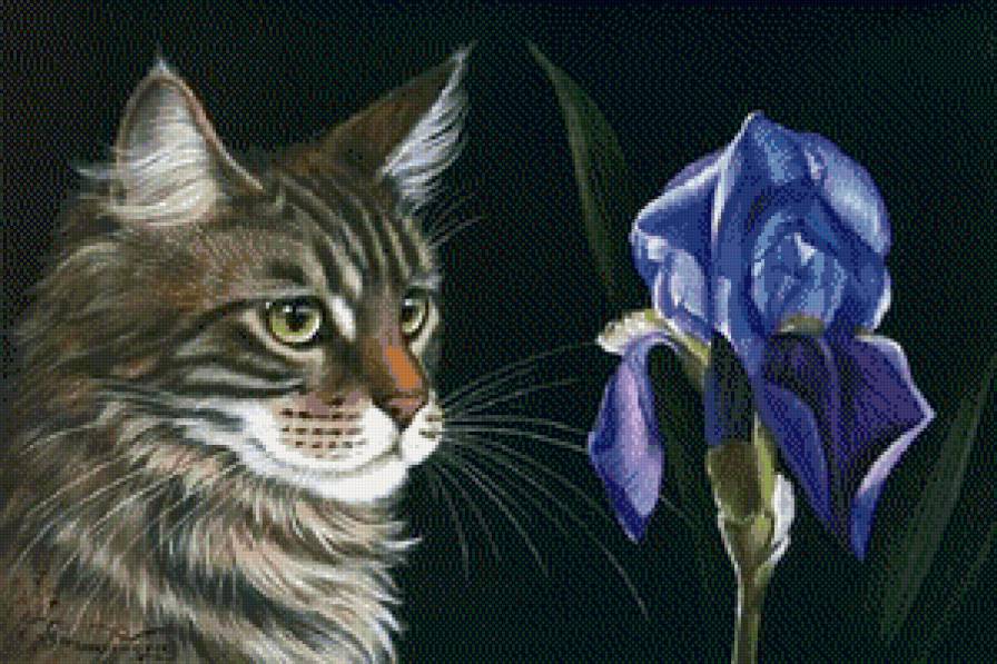 кот с ирисом - ирис, кот, цветы, животные - предпросмотр