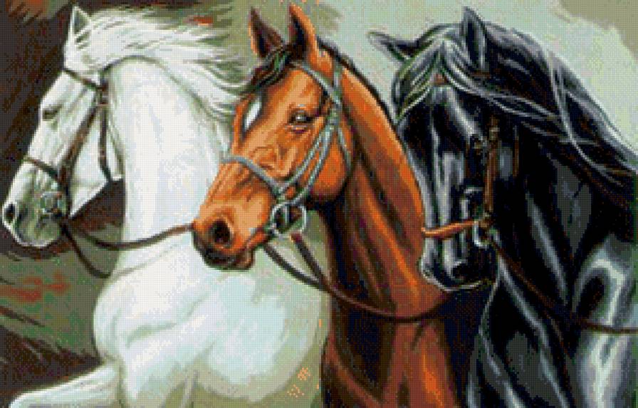 Лошади - лошади, животные, кони - предпросмотр