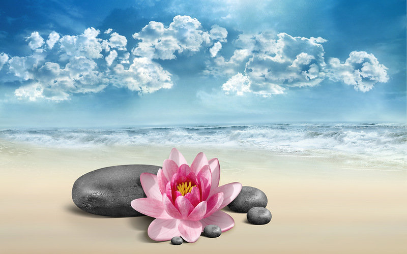 морской натюрморт - песок, натюрморт, цветы, море - оригинал