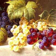 Оригинал схемы вышивки «Гроздь винограда» (№748099)